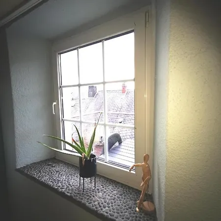 Mooi Ruim In Antieke Stadsboerderij Schönecken