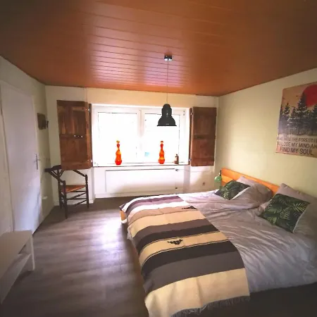 Mooi Ruim In Antieke Stadsboerderij Schönecken