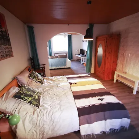 Mooi Ruim In Antieke Stadsboerderij Lejlighed *