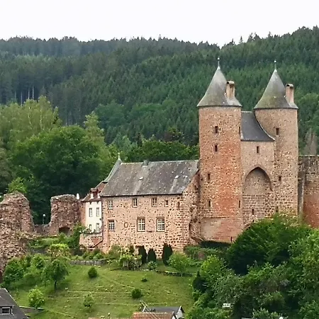 Mooi Ruim In Antieke Stadsboerderij Lejlighed Schönecken