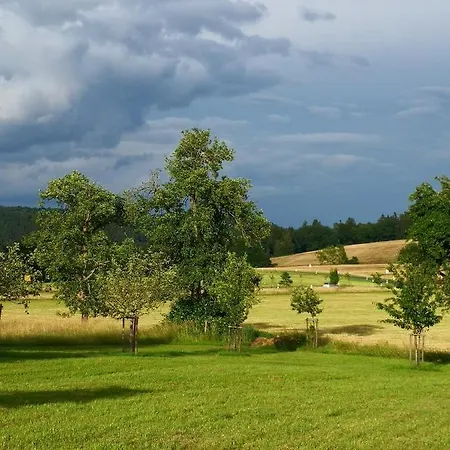 Mooi Ruim In Antieke Stadsboerderij Lejlighed *