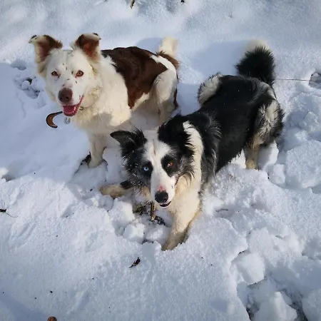 Apartment Mooi Ruim In Antieke Stadsboerderij *