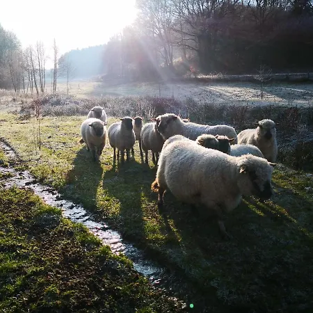 Mooi Ruim In Antieke Stadsboerderij Apartment *