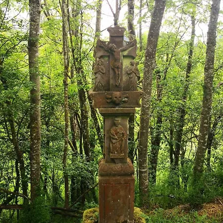 Mooi Ruim In Antieke Stadsboerderij Lejlighed