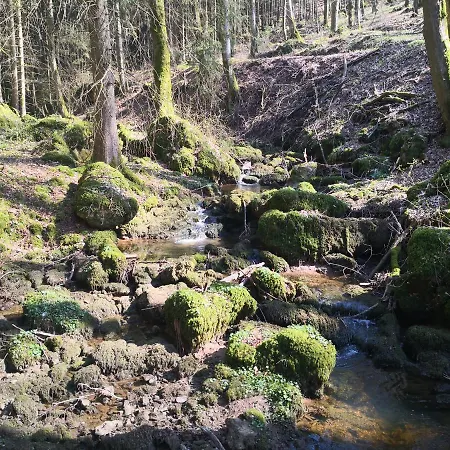 Mooi Ruim In Antieke Stadsboerderij Lejlighed