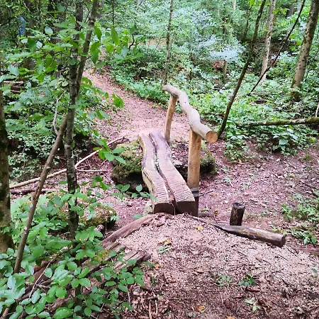 Mooi Ruim In Antieke Stadsboerderij Schönecken