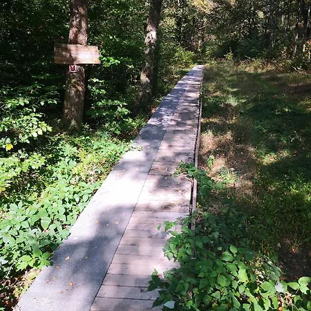 Mooi Ruim In Antieke Stadsboerderij Apartment