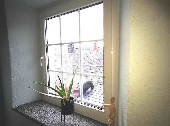 Mooi Ruim In Antieke Stadsboerderij Schönecken