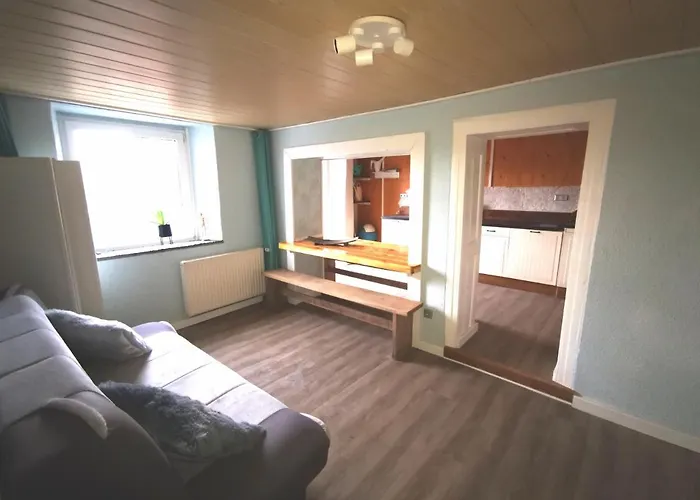 Mooi Ruim In Antieke Stadsboerderij