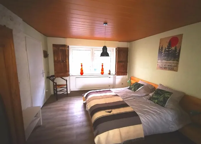 Mooi Ruim In Antieke Stadsboerderij Schönecken