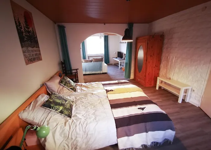 Mooi Ruim In Antieke Stadsboerderij Daire *