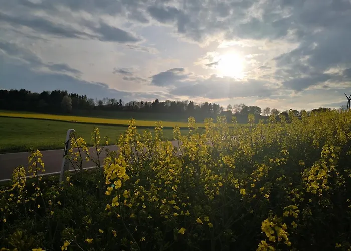 Daire Mooi Ruim In Antieke Stadsboerderij