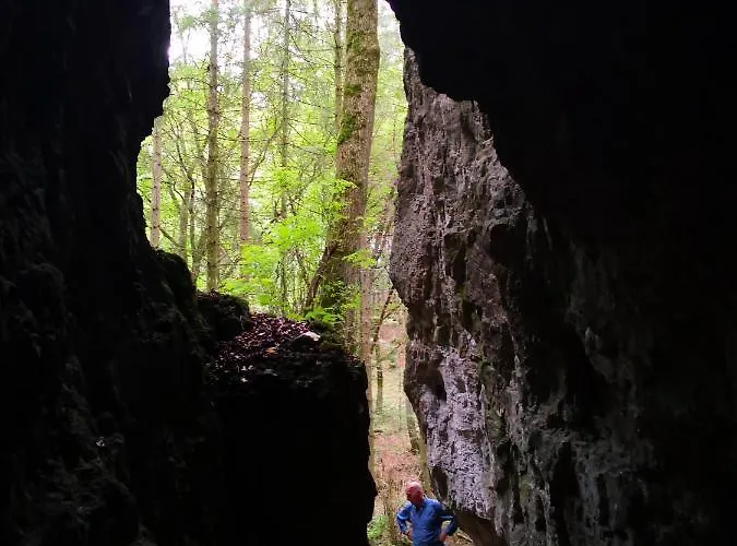Daire Mooi Ruim In Antieke Stadsboerderij *