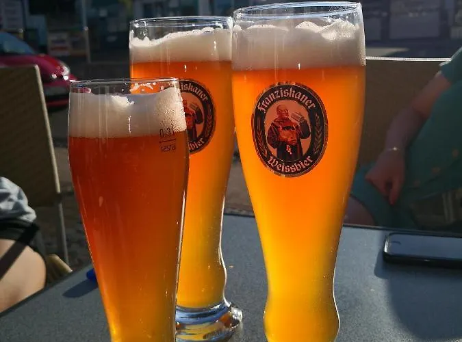 Mooi Ruim In Antieke Stadsboerderij Daire *