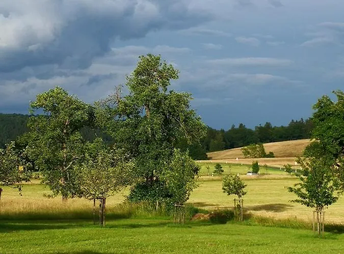 Mooi Ruim In Antieke Stadsboerderij Daire *