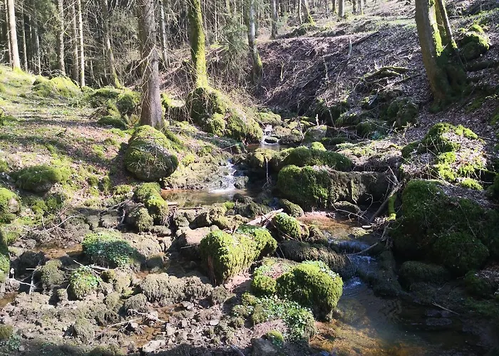 Mooi Ruim In Antieke Stadsboerderij Daire