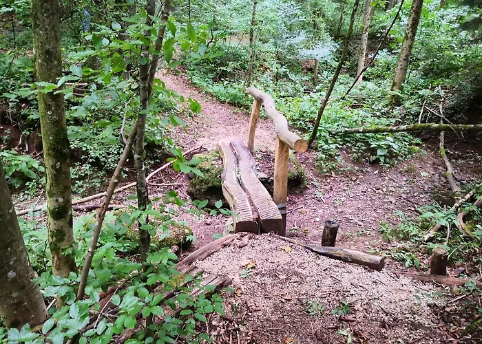Mooi Ruim In Antieke Stadsboerderij Schönecken