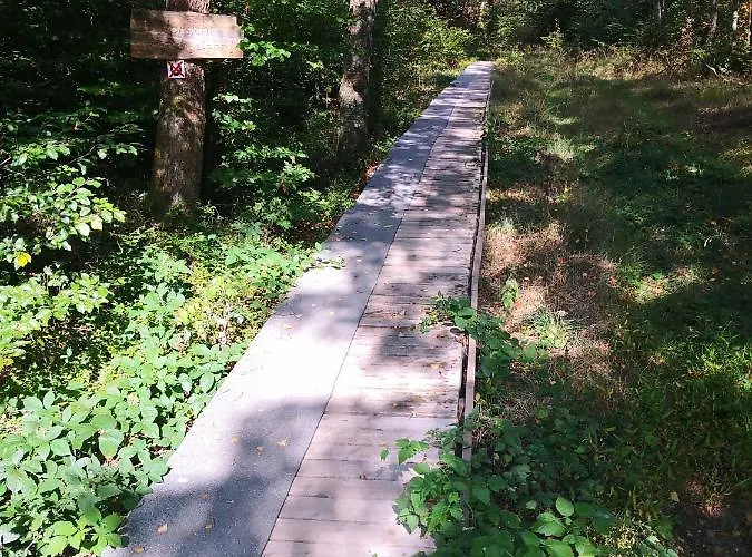 Mooi Ruim In Antieke Stadsboerderij Daire