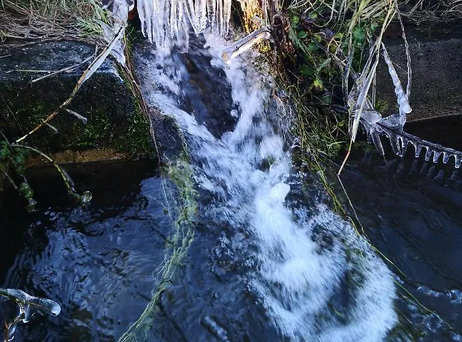 Daire Mooi Ruim In Antieke Stadsboerderij