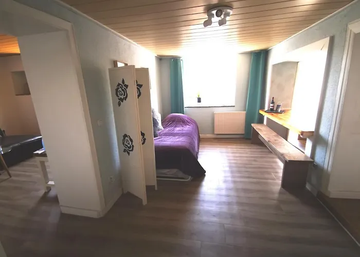 Mooi Ruim In Antieke Stadsboerderij